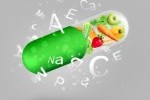Supplements and Nutraceuticals