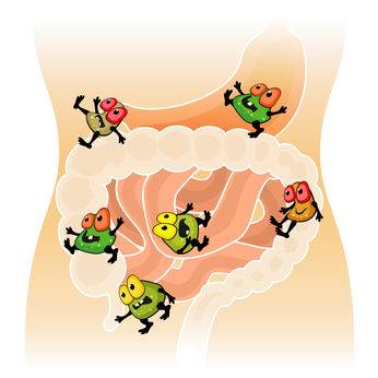 What’s the Secret to a Healthy Gut?