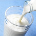 Why some people have Milk/Lactose-Intolerance