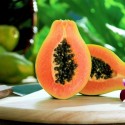 Antifertility & Contraception Fruit – Papaya