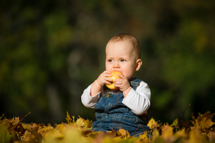 Introduction of Solid Foods Affects Allergy Development