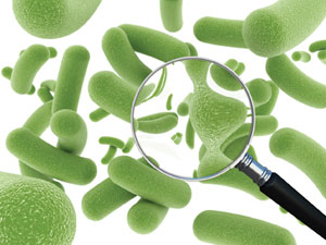 Probiotics: Effective? Or a Hoax?