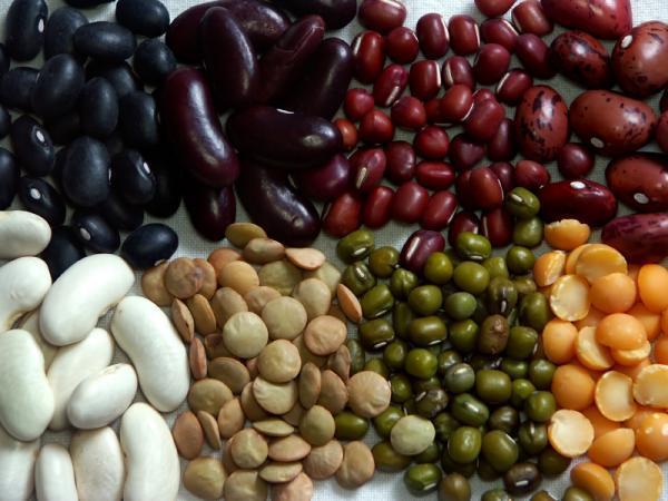 Health Benefits of Beans